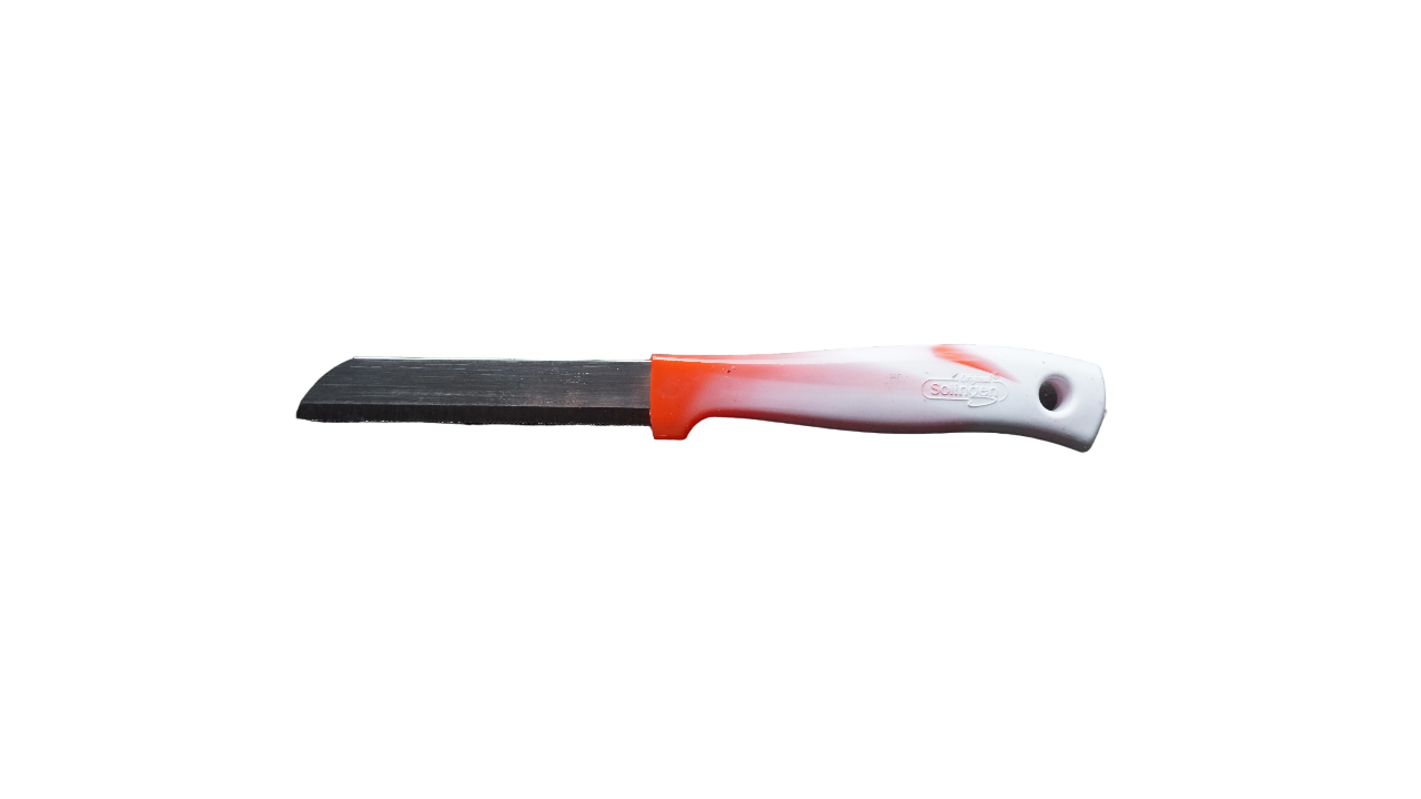 Solingen - Rot-Weiß Messer Made in Germany Allzweckmesser Obstmesser Gemüsemesser Schälmesser, Meyve Bicagi - scharf