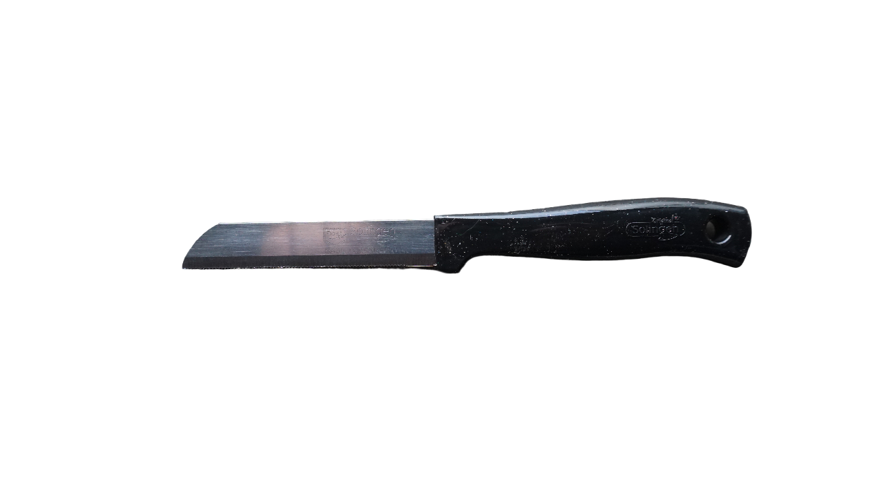Solingen - Schwarz Messer Made in Germany Allzweckmesser Obstmesser Gemüsemesser Schälmesser, Meyve Bicagi - scharf